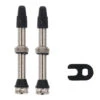 MaXalami FiveWay Tubeless Valves (2 Pcs.)