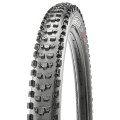 Maxxis Dissector Folding Tire - Double Down | 3C MaxxTerra - TR - 29x2.40"