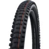 Schwalbe Big Betty Folding Tire - Evolution | Addix Soft | Super Trail | TLEasy - ECE-R75 - 26x2.40" | Black
