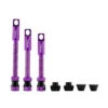 Procraft PRC Tubeless Valves (2 Pcs.) - Purple